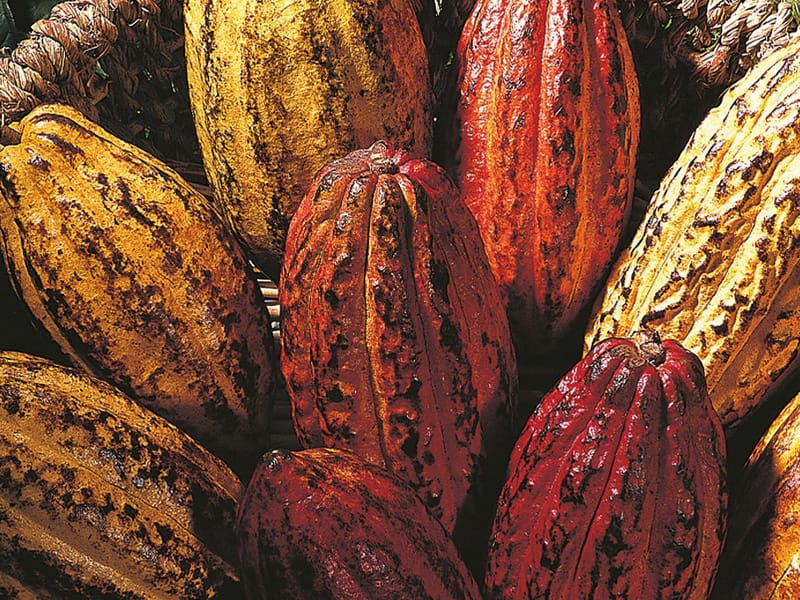 Visite de l’Office du tourisme de Saint-Martin