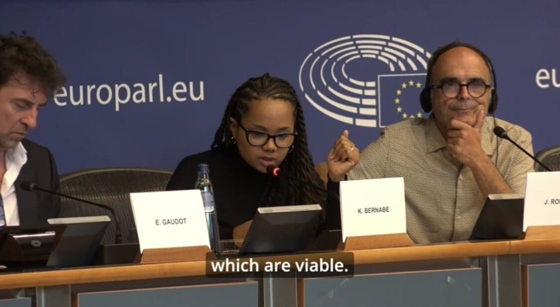 Retour sur la Table Ronde organisée au Parlement Européen en juin 2026